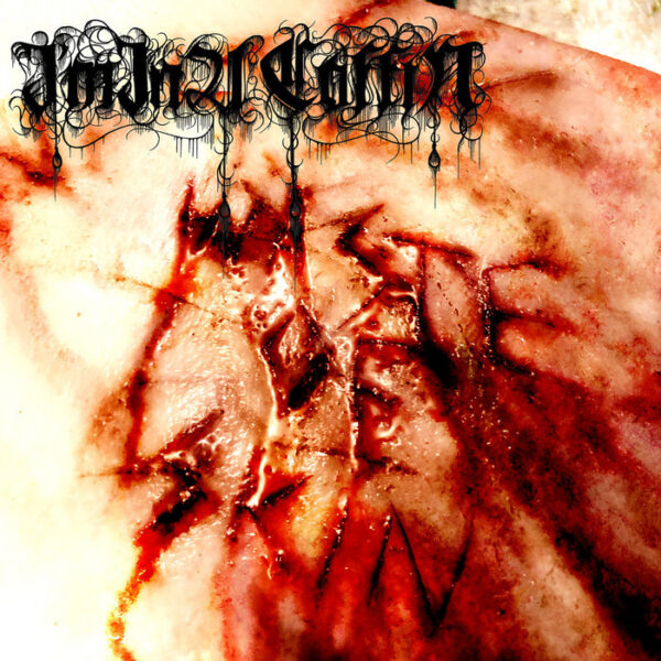 I'm In A Coffin - Waste Of Skin CD